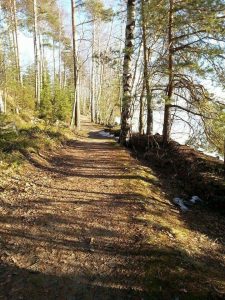 IMG-20170210-WA0002 IMG-20170210-WA0002