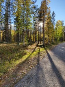 Tiellä auringon pilkahdus Tiellä auringon pilkahdus
